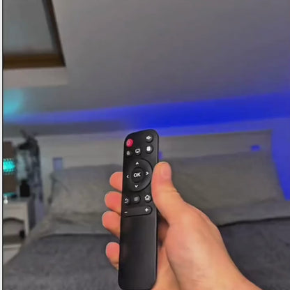 CINEMATIC PROJECTOR